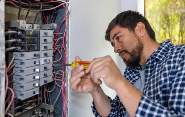 Best Electrical Panel Upgrades  in Woodville, AL